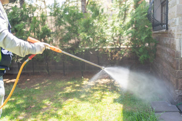 Best Termite Control Services  in Long Valley, NJ