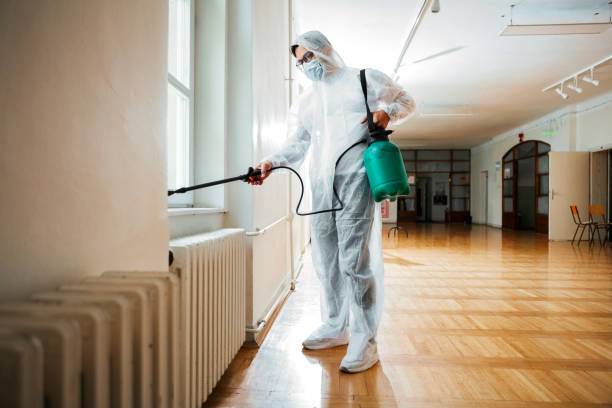 Best Termite Control Services  in Long Valley, NJ