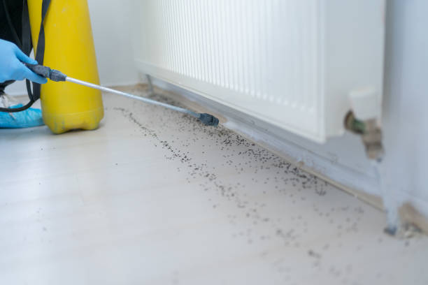 Best Exterminator Services  in Long Valley, NJ